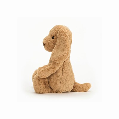 Jellycat Bashful Toffee Cachorro | BPOZ-08763